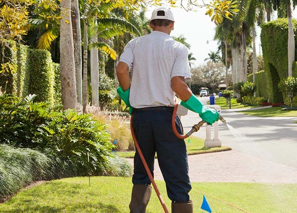 About Datto AR Pest Control Pros
